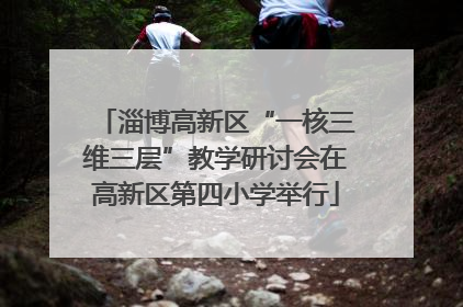 淄博高新区“一核三维三层”教学研讨会在高新区第四小学举行