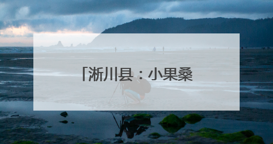 淅川县：小果桑种出好“钱”景