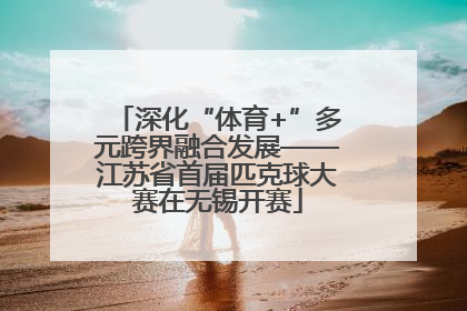 深化“体育+”多元跨界融合发展——江苏省首届匹克球大赛在无锡开赛