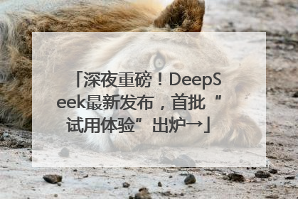 深夜重磅！DeepSeek最新发布，首批“试用体验”出炉→