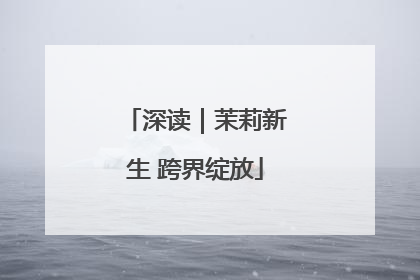 深读｜茉莉新生 跨界绽放