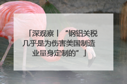 深观察丨“钢铝关税几乎是为伤害美国制造业量身定制的”