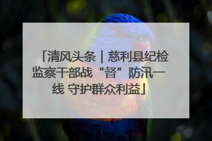 清风头条｜慈利县纪检监察干部战“督”防汛一线 守护群众利益