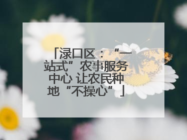 渌口区：“一站式”农事服务中心 让农民种地“不操心”