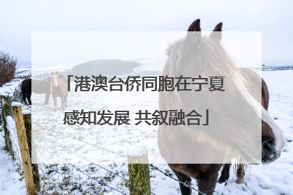 港澳台侨同胞在宁夏感知发展 共叙融合