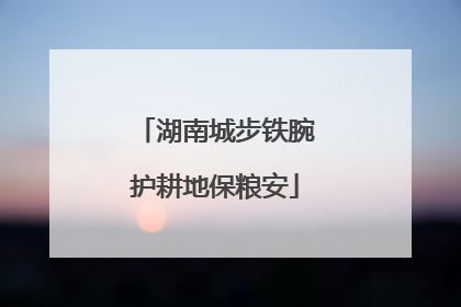 湖南城步铁腕护耕地保粮安