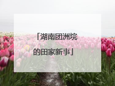 湖南团洲垸的田家新事