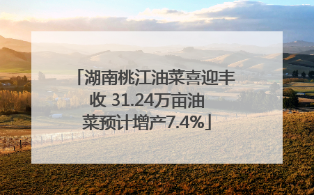 湖南桃江油菜喜迎丰收 31.24万亩油菜预计增产7.4%