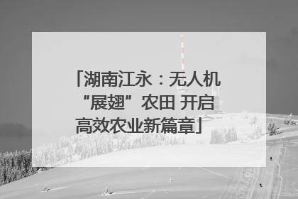 湖南江永：无人机“展翅”农田 开启高效农业新篇章