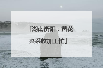 湖南衡阳：黄花菜采收加工忙