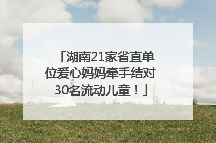 湖南21家省直单位爱心妈妈牵手结对30名流动儿童！