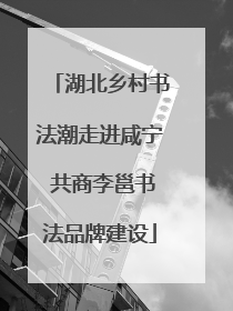 湖北乡村书法潮走进咸宁 共商李邕书法品牌建设