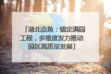 湖北嘉鱼：锚定满园工程，多维度发力推动园区高质量发展