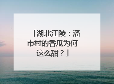湖北江陵：潘市村的香瓜为何这么甜？