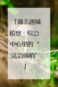 湖北通城检察：综治中心里的“法治前哨”
