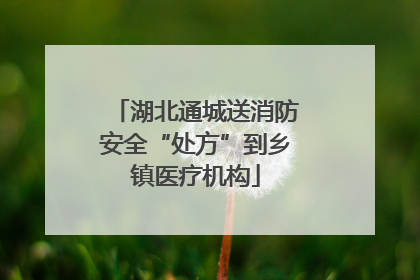湖北通城送消防安全“处方”到乡镇医疗机构