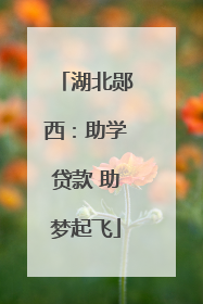 湖北郧西：助学贷款 助梦起飞