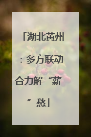 湖北黄州：多方联动合力解“薪”愁