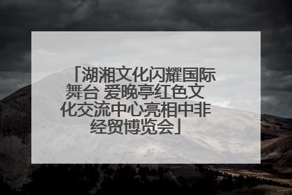 湖湘文化闪耀国际舞台 爱晚亭红色文化交流中心亮相中非经贸博览会