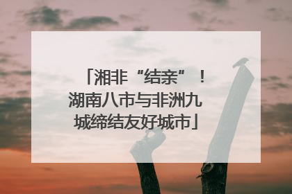 湘非“结亲”！湖南八市与非洲九城缔结友好城市