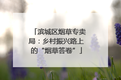 滨城区烟草专卖局：乡村振兴路上的“烟草答卷”