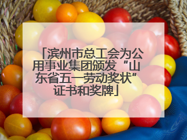滨州市总工会为公用事业集团颁发“山东省五一劳动奖状”证书和奖牌