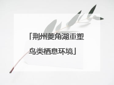 荆州菱角湖重塑鸟类栖息环境