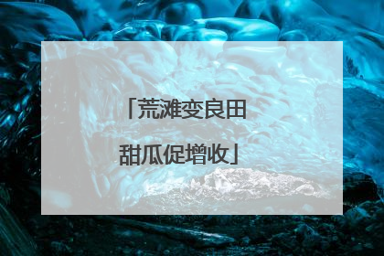 荒滩变良田 甜瓜促增收