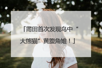 莆田首次发现鸟中“大熊猫”黄腹角雉！