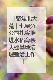 聚焦北大荒｜七星分公司扎实推进水稻育秧大棚基地清理整治工作