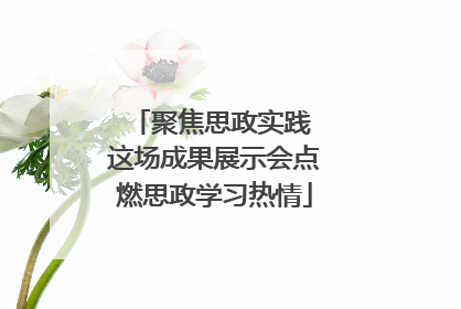 聚焦思政实践 这场成果展示会点燃思政学习热情