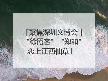聚焦深圳文博会｜“徐霞客”“郑和”恋上江西仙草