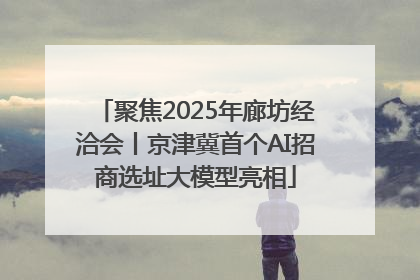 聚焦2025年廊坊经洽会丨京津冀首个AI招商选址大模型亮相