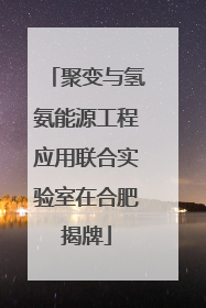 聚变与氢氨能源工程应用联合实验室在合肥揭牌