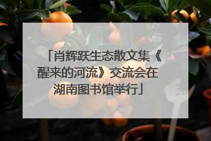 肖辉跃生态散文集《醒来的河流》交流会在湖南图书馆举行