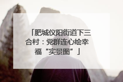 肥城仪阳街道下三合村：党群连心绘幸福“实景图”