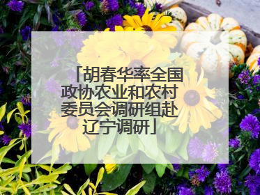 胡春华率全国政协农业和农村委员会调研组赴辽宁调研