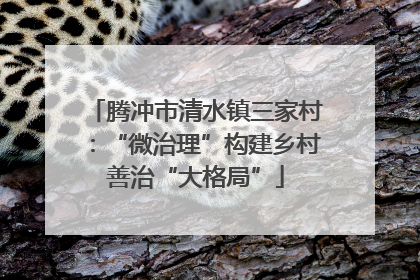 腾冲市清水镇三家村：“微治理”构建乡村善治“大格局”