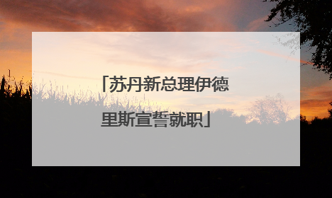 苏丹新总理伊德里斯宣誓就职
