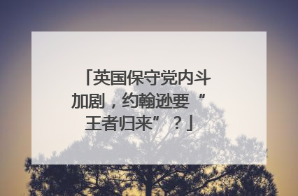 英国保守党内斗加剧，约翰逊要“王者归来”？