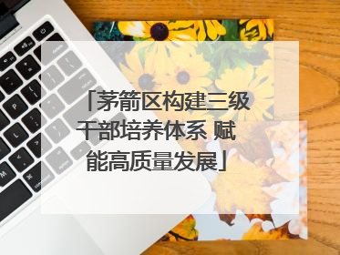 茅箭区构建三级干部培养体系 赋能高质量发展