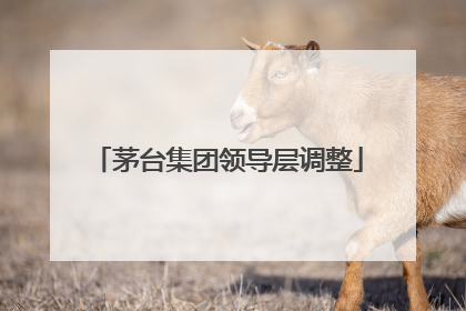 茅台集团领导层调整