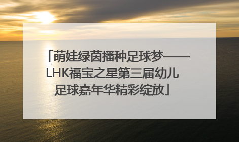萌娃绿茵播种足球梦——LHK福宝之星第三届幼儿足球嘉年华精彩绽放