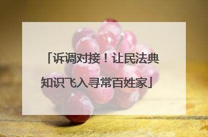 诉调对接！让民法典知识飞入寻常百姓家