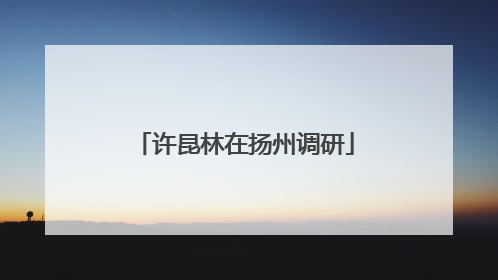 许昆林在扬州调研