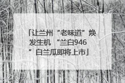 让兰州“老味道”焕发生机 “兰白946”白兰瓜即将上市