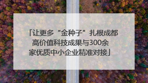 让更多“金种子”扎根成都 高价值科技成果与300余家优质中小企业精准对接
