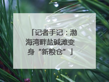 记者手记：渤海湾畔盐碱滩变身“新粮仓”