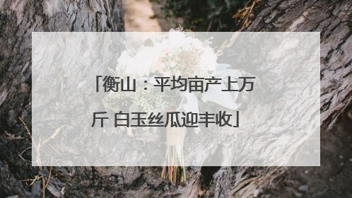 衡山：平均亩产上万斤 白玉丝瓜迎丰收