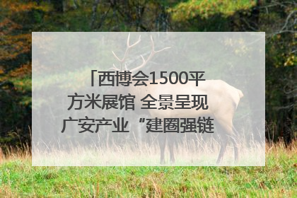 西博会1500平方米展馆 全景呈现广安产业“建圈强链”｜西博视界